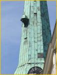 St Jame's Cathedral Steeple
